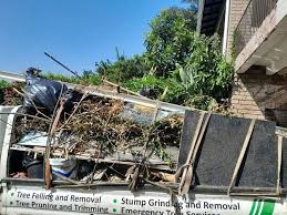 Best Retail Junk Removal  in Albany, TX